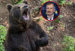 Niedźwiedzie z Cisnej. Wiceminister zdecydował o ich losie