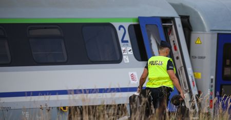 Wypadek w Sokolnikach Suchych. Rząd zapowiada zaostrzenie przepisów