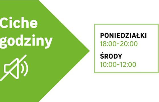 "Ciche godziny" dwa razy w tygodniu w Leroy Merlin