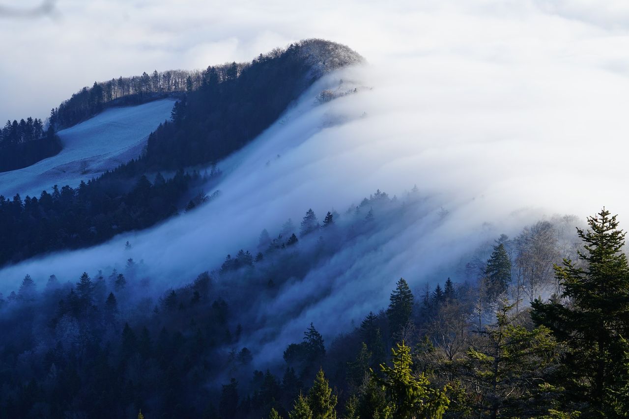 Piękne zjawisko w Szwajcarii: Mgła wyglądała jak lawina śnieżna