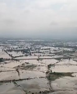 Katastrofa w Pakistanie. "Jedna trzecia kraju może znaleźć się pod wodą"