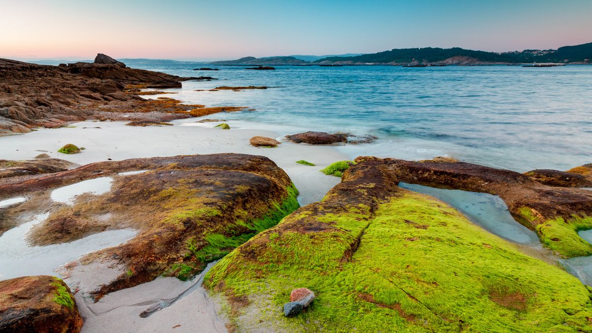 Hiszpańskie plaże. Turyści narzekają na "śmierdzący szlam"