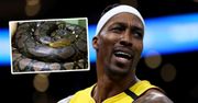 Problemy mistrza NBA. Dwight Howard napytał sobie biedy przez... węże