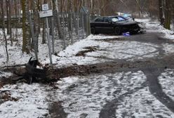 Szalony "rajd" pijanego kierowcy. Audi kolegi wylądowało na drzewie