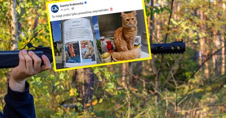 Kot Kubuś śmiertelnie postrzelony z wiatrówki. "Zależy nam, aby znaleźć tego bandytę"