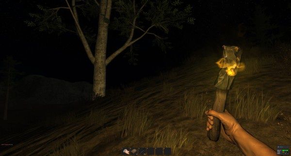 rust screen pochodnia noc