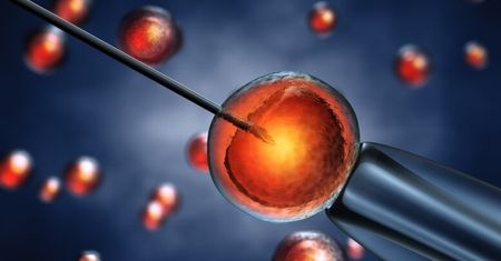 Sukces w Procesie In Vitro: Optymalne Podejście i Praktyczne Wskazówki dla Par