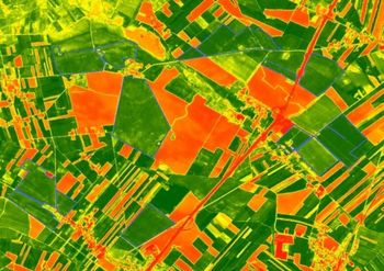 ARiMR analizuje uprawy z kosmosu. Sprawdź kolory działek w systemie dopłat