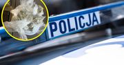 3-latek miał sińce i zadrapania. W mieszkaniu znaleziono narkotyki