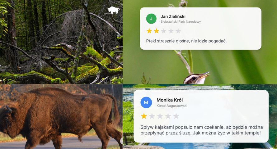 Podlasie przewrotnie zaprasza na majówkę. "Rozczaruj się w naturze"