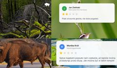 Podlasie przewrotnie zaprasza na majówkę. "Rozczaruj się w naturze"