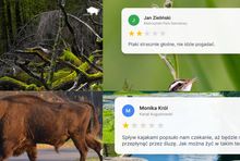 Kampania podlaskiego oddziału POT