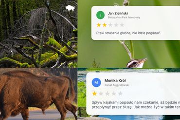 Kampania podlaskiego oddziału POT