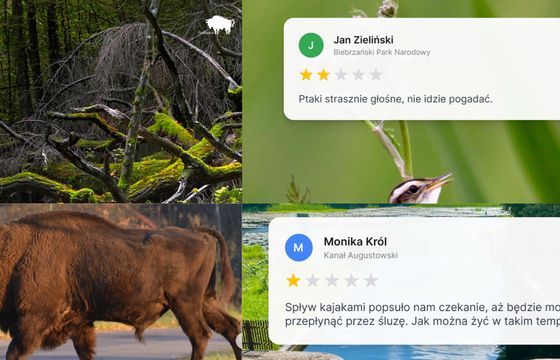 Podlasie przewrotnie zaprasza na majówkę. "Rozczaruj się w naturze"