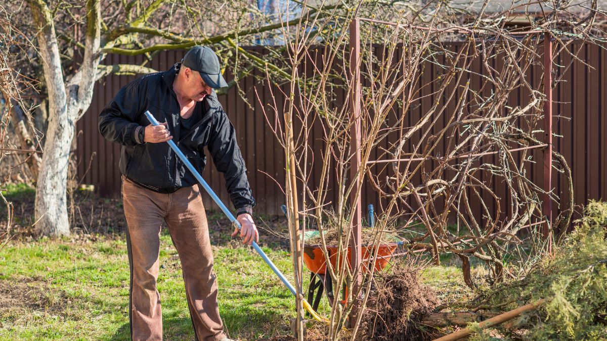 Teraz już wiem, co nawozić i przycinać w marcu 