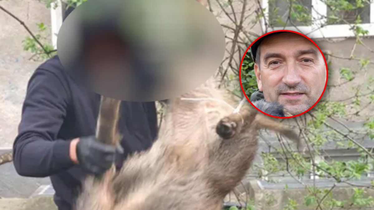 Dr hab inż. Wajdzik komentuje sytuację z Warszawy.