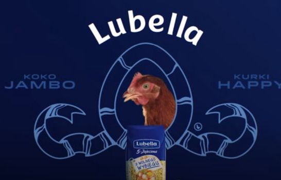 Reklamy Lubelli, Biedronki i Play najpopularniejsze na polskim YouTube