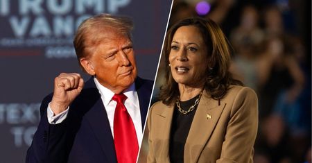 Kamala Harris czy Donald Trump? Polacy już wybrali