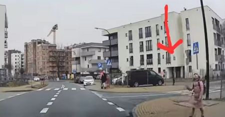 Samochód zatrzymał się na pasach. Reakcja dziewczynki hitem
