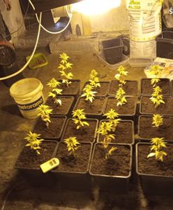 Zabrze. Opuszczone budynki pełne niespodzianek. Co w nich znaleziono?