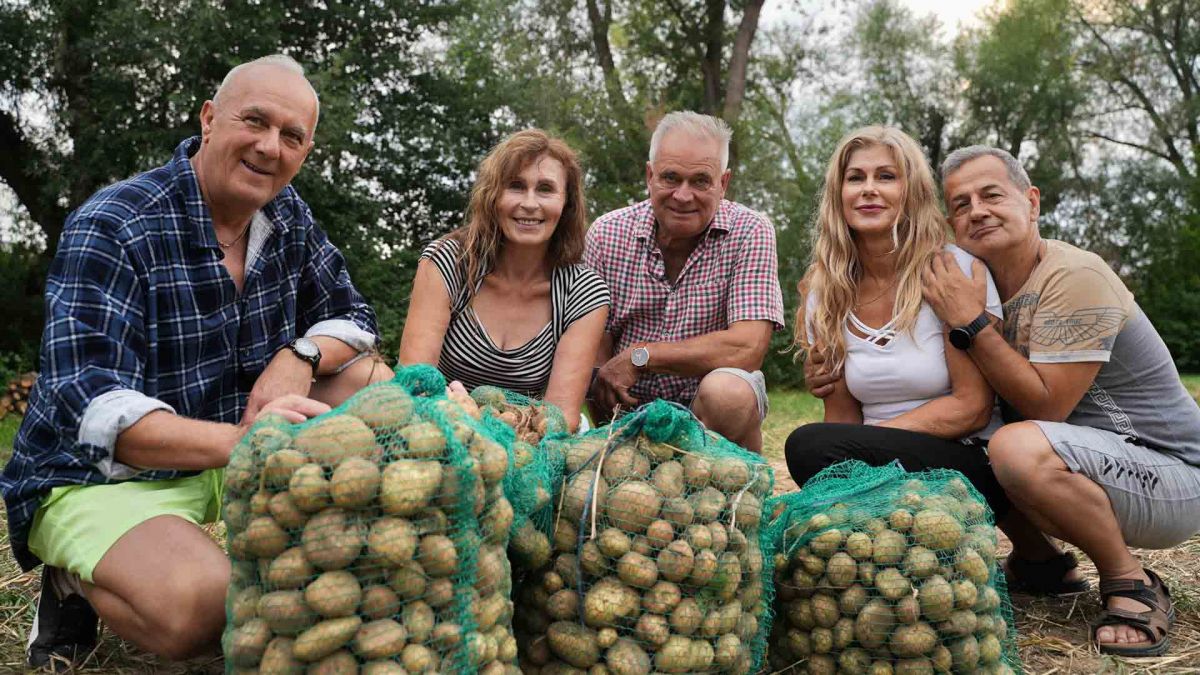 Uczestnicy 8. sezonu "Sanatorium miłości" będą zbierać ziemniaki