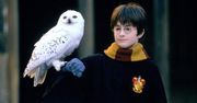 Gwiazda serialu Harry Potter wspomina list od Daniela Radcliffe'a