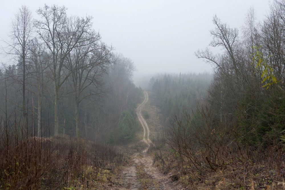 „Jak najdalej od ludzi” - fotograficzna historia tułaczki z rosyjskiej niewoli do domu w Polsce 3