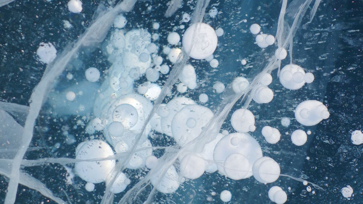 Zdjęcie ilustaracyjne