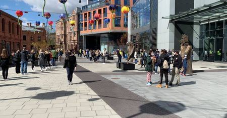 Warszawa. Trwa Festiwal Roślin w Koneserze. Przed wejściem tłumy [ZDJĘCIA]