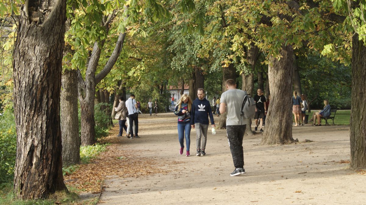 Pogoda długoterminowa na październik. Zimna jesień jeszcze przed połową miesiąca 