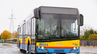 Wszystkich Świętych 2026 w Płocku. Darmowe autobusy i specjalne linie na cmentarze