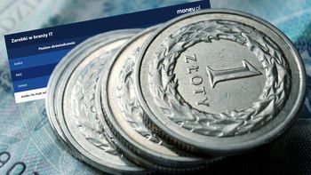 Branża IT odżywa. Zarobki sięgają nawet 32 tys. zł