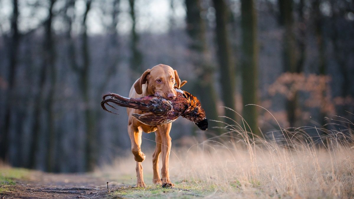 Zdjęcie ilustracyjne. 