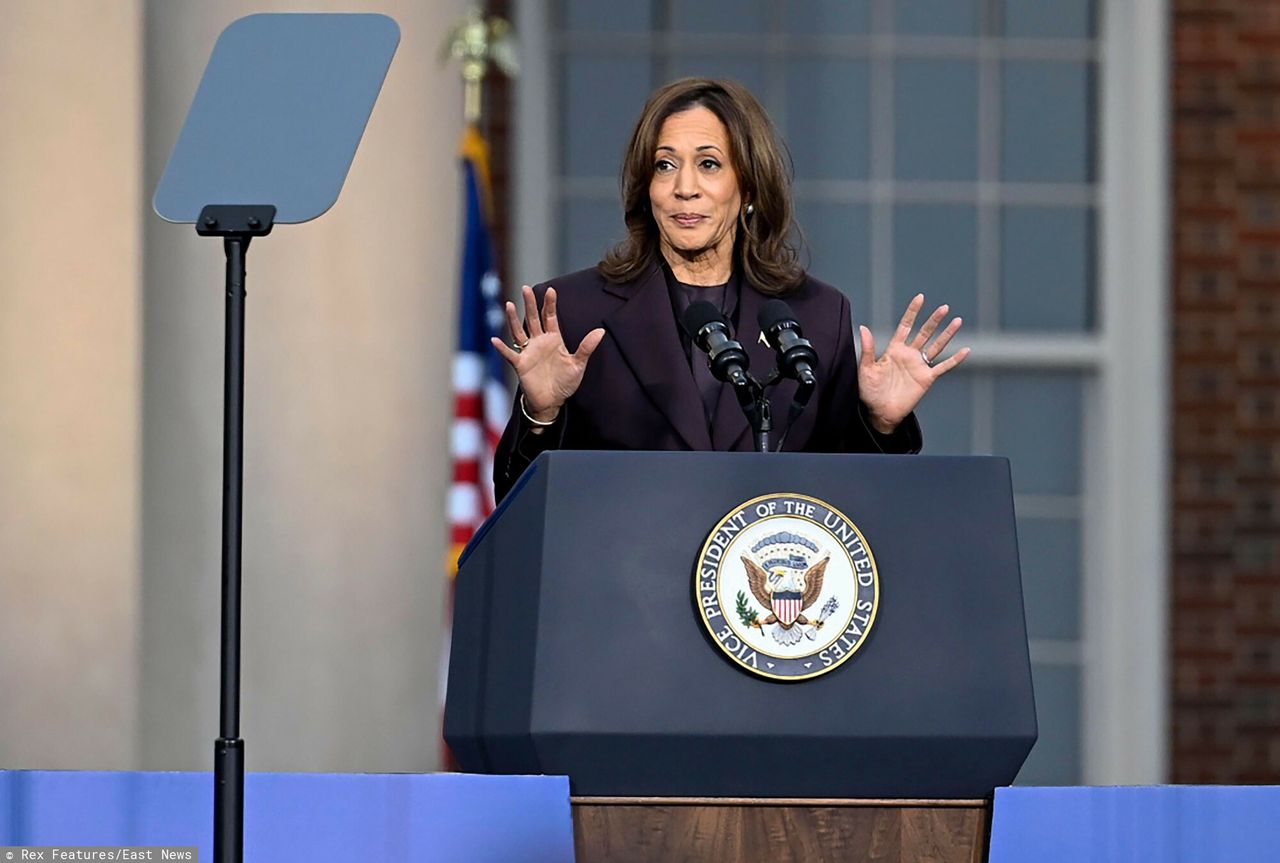 The Democrats are searching for those to blame for Kamala Harris's "humiliating defeat" in the election.