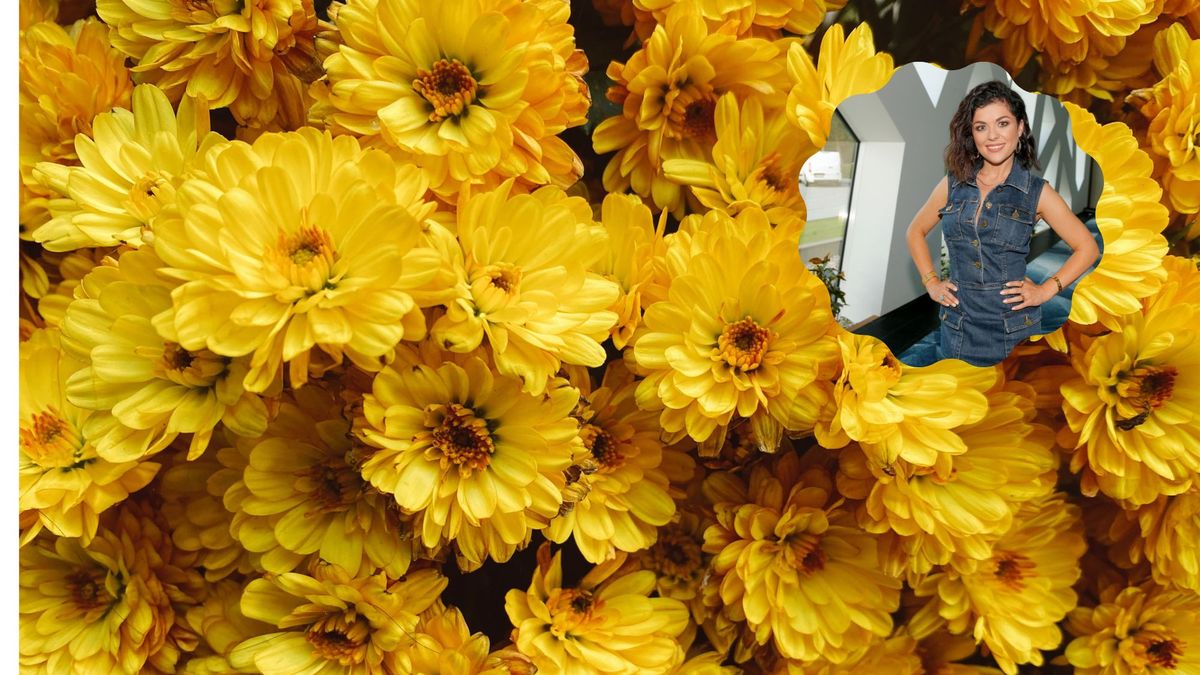 Celebrytka zaskakuje pomysłem na kiszonkę