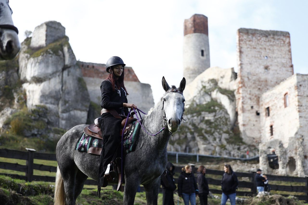 Olsztyn: Hubertus 2025. Malownicze krajobrazy, piękne konie i tradycyjna "gonitwa za lisem" w scenerii odrestaurowanych ruin
