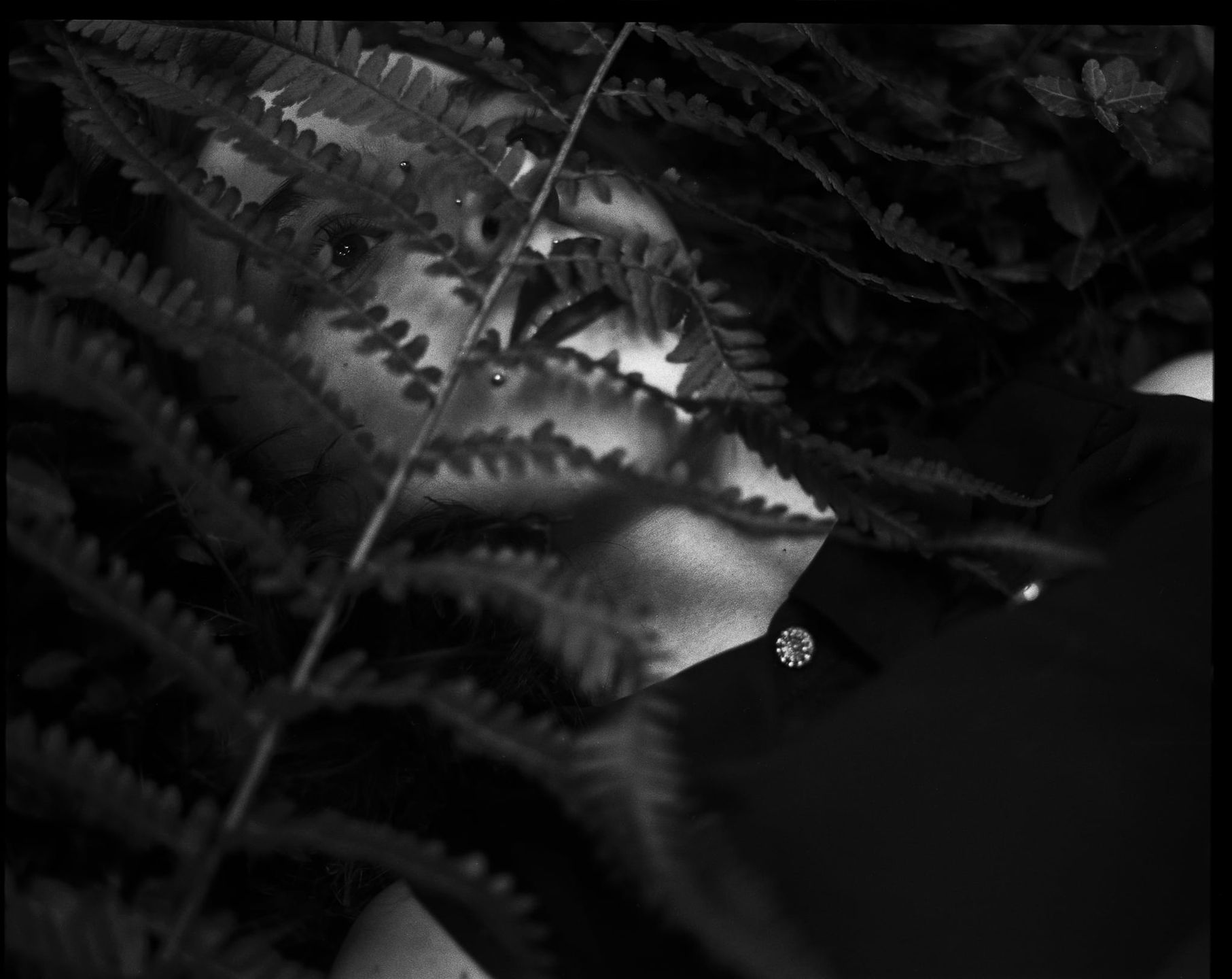 Fotografia Analogowa Cz. III: Jaki film wybrać? 17