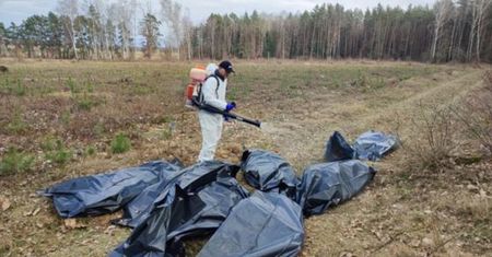 Makabryczne znalezisko w lesie w Nidzicy. 700 martwych stworzeń