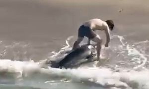 Człowiek i rekin. Nagranie z USA niesie się w sieci