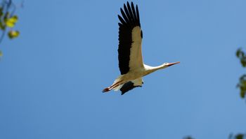 Już jest! "Ostatni etap podróży Krutka był dość nietypowy…"