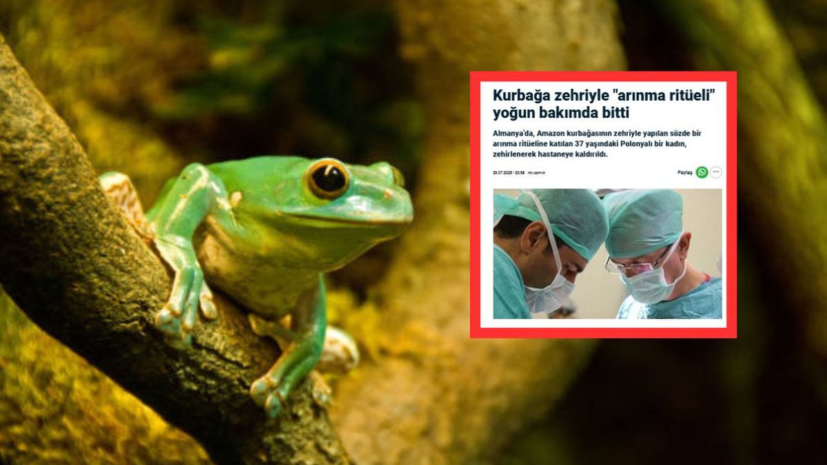 Polka ofiarą rytuału Kambo