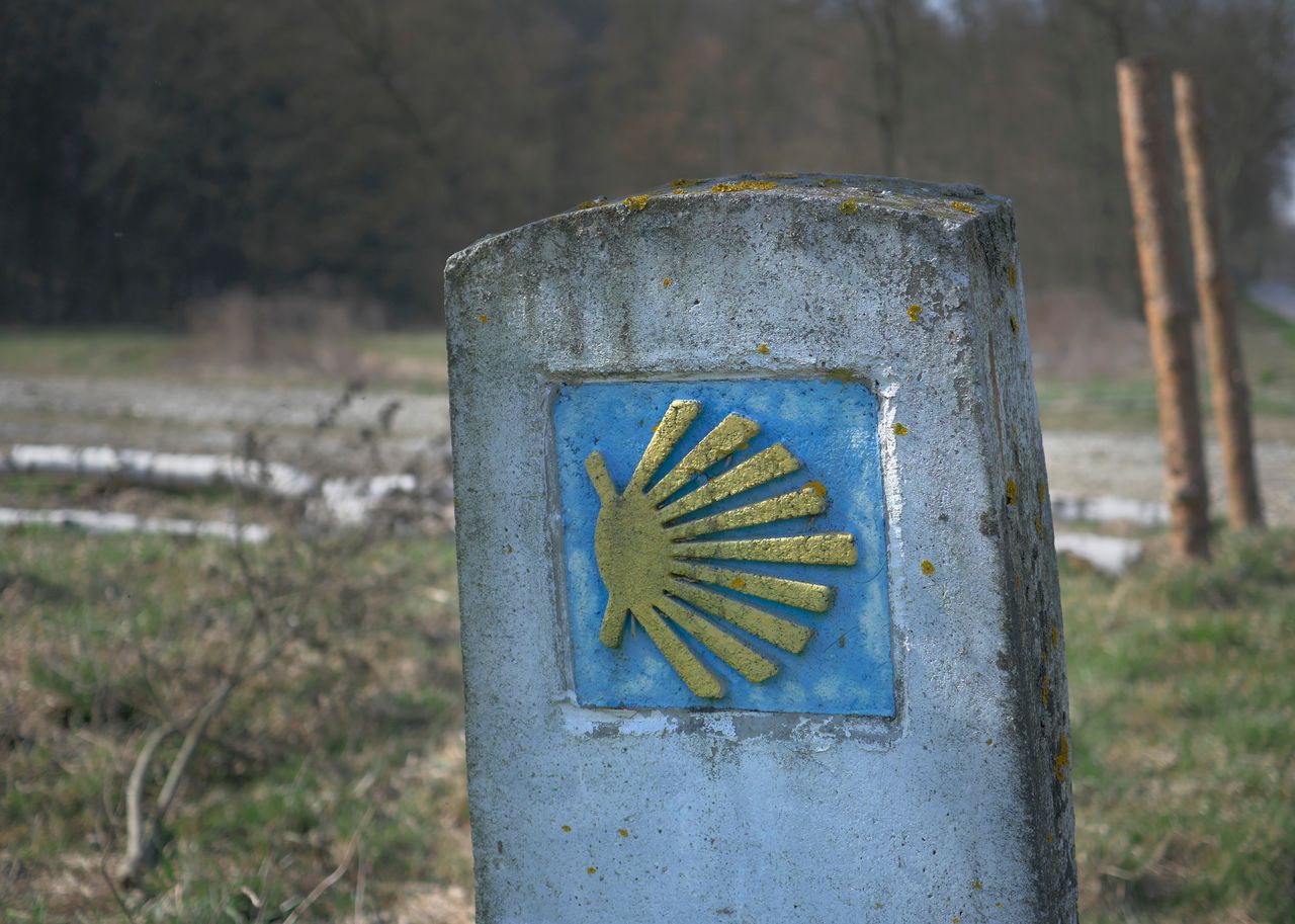 20 lat Szlaku św. Jakuba w Polsce. Piątkowe uroczystości w Jakubowie
