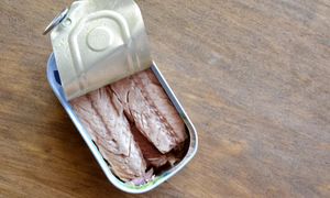 Gdzie wyrzucić puszkę po rybie? Ten błąd popełnia mnóstwo osób