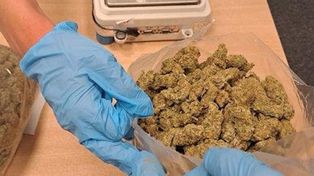 Szarpał i gryzł policjanta, bo chciał uniknąć konsekwencji za posiadanie kilograma marihuany