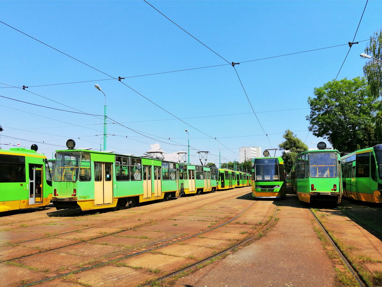 Poznań: Weekend z liniami turystycznymi. Stare pojazdy na trasach