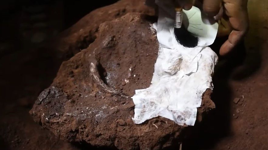 W Afryce odnaleziono najstarszy na kontynencie ludzki grób