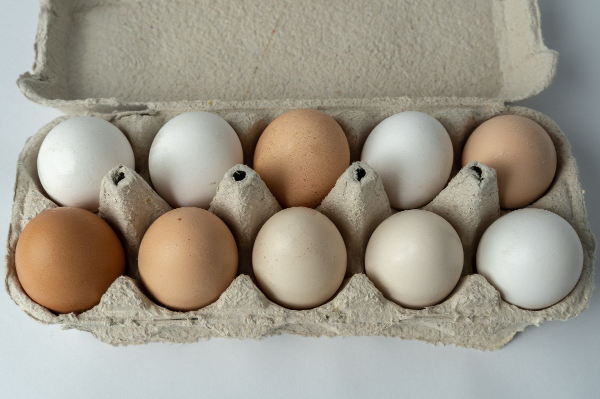 Navigating the eggs aisle: Choosing safe and healthy options