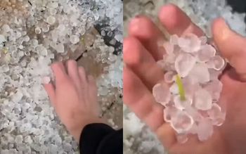 Taki widok na Podhalu. Wziął do ręki i pokazał, co spadło