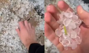 Taki widok na Podhalu. Wziął do ręki i pokazał, co spadło