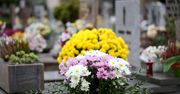 Żywe czy sztuczne? Jakie kwiaty wybrać na Wszystkich Świętych?